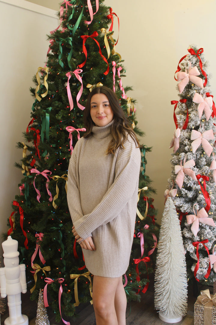 Taylor Turtle Neck Knit Sweater