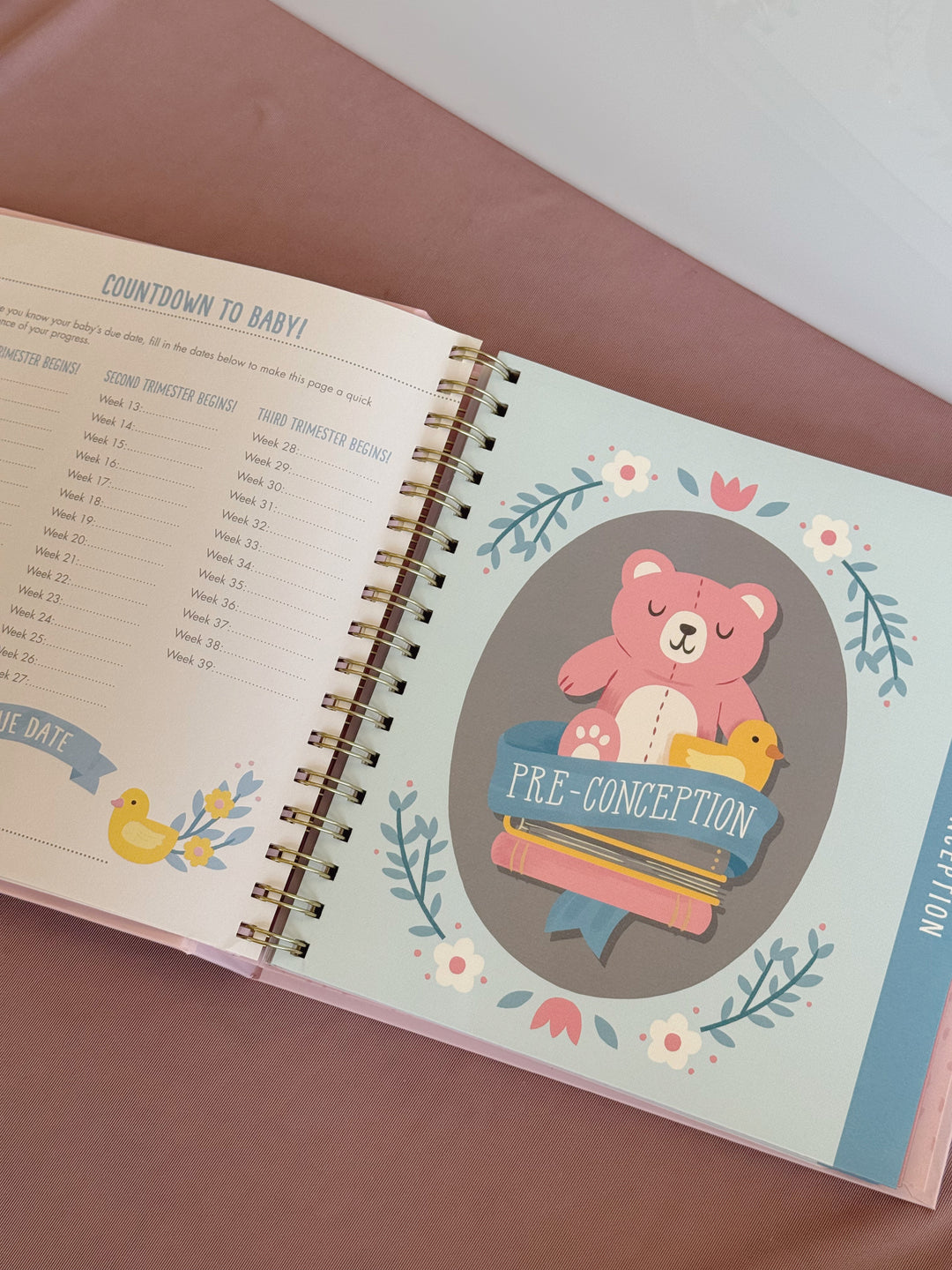 Bump for Joy: A Pregnancy Journal