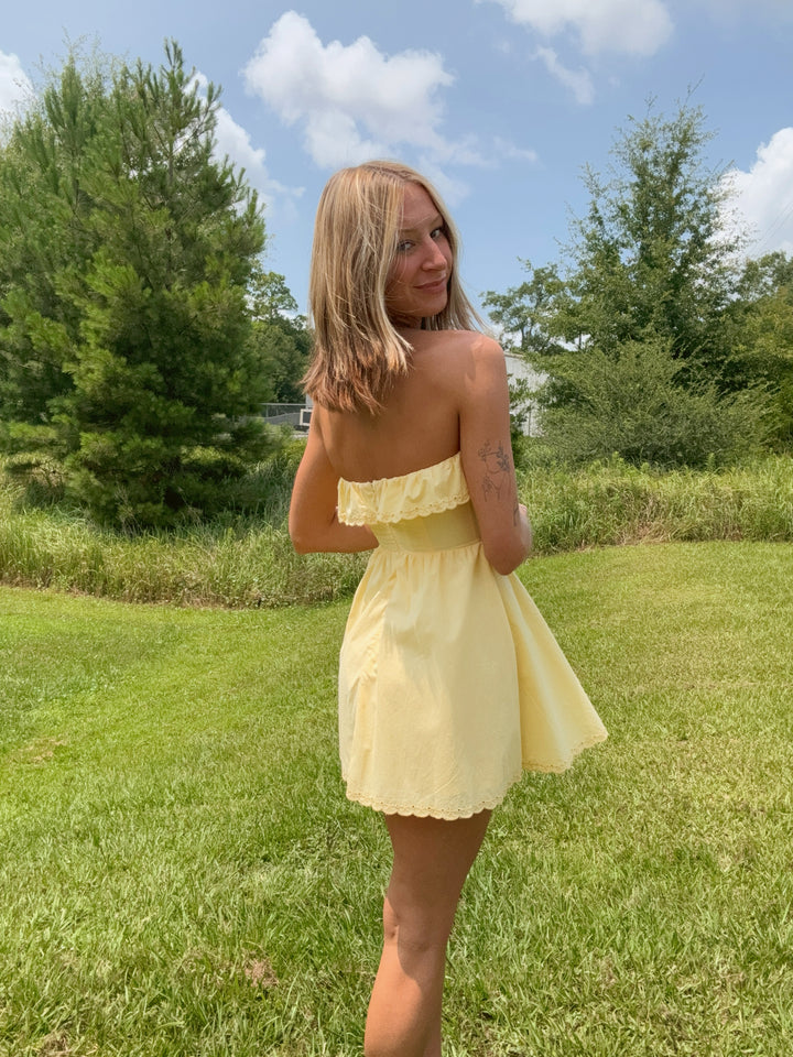 Poppy Eyelet Strapless Dress