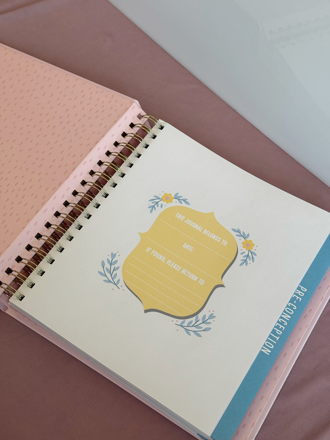 Bump for Joy: A Pregnancy Journal